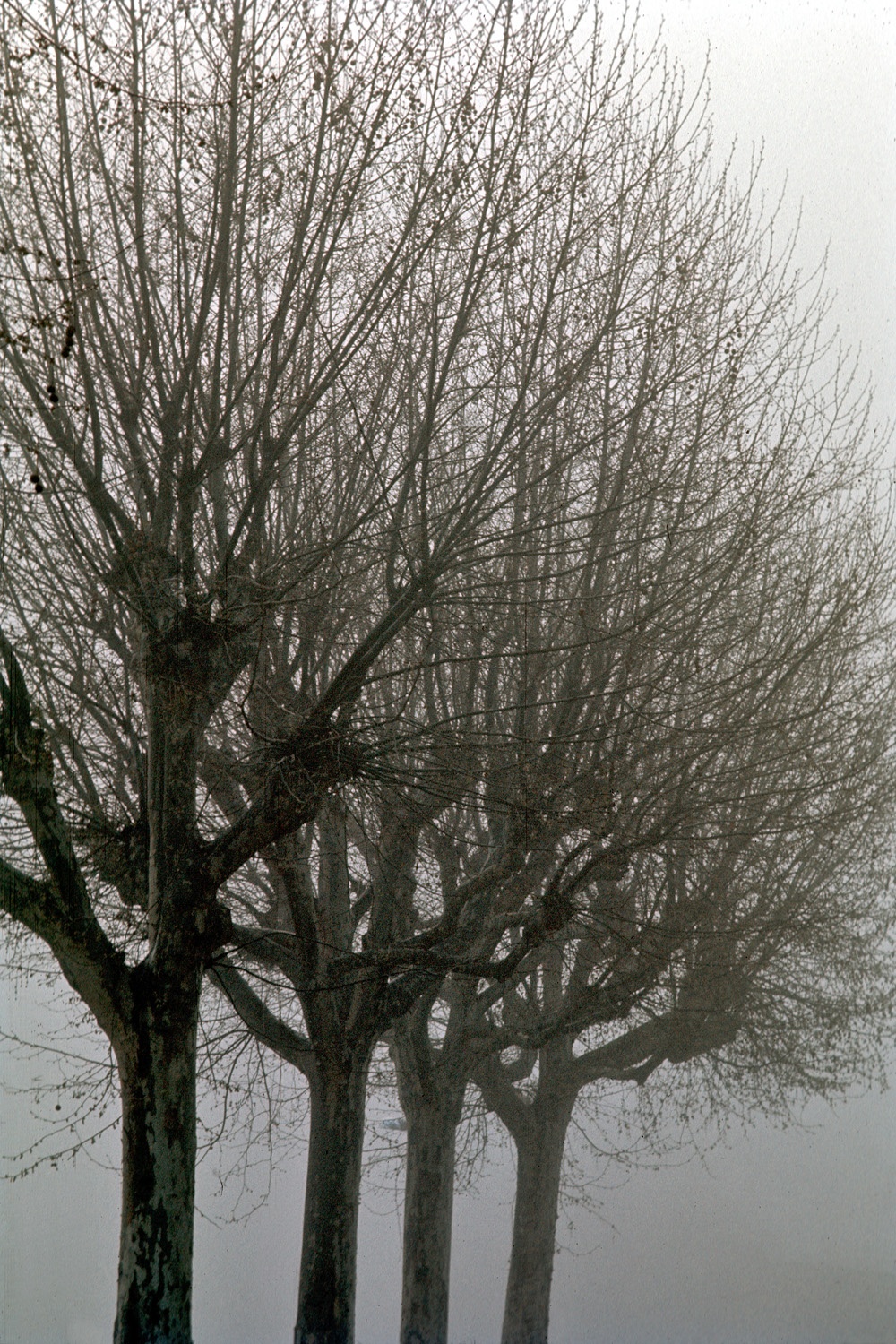 bill-hocker-europe-1972