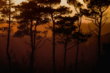 	Monterey, California