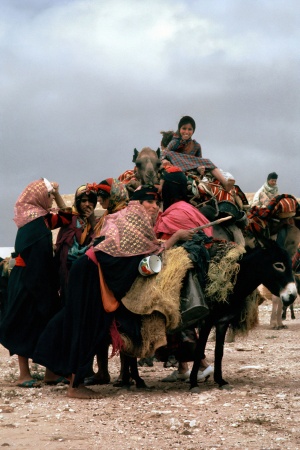 Caravan
Near Gafsa, Tunisia