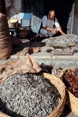 Dried FishSbeitla, Tunisia