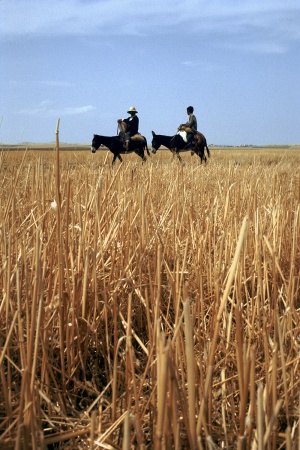 TransportNear Le Kef, Tunisia
