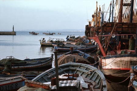 Fishing Fleet
Bizerte?, Tunisia 
