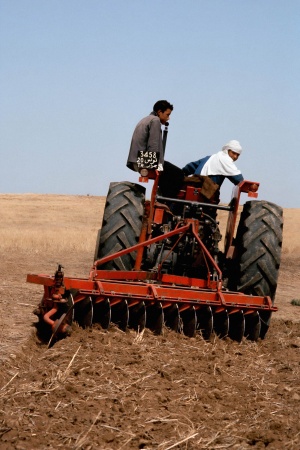 TractorNear Le Kef, Tunisia