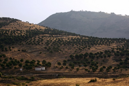 The Acropolis
Pergamum, Turkey
