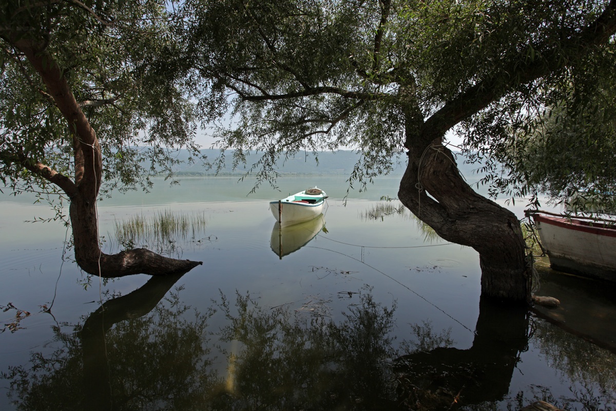 bill-hocker-ulubat-lake-eskikaraagac-(formerly-apollonia)-turkey-2010