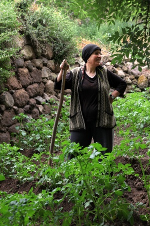 Gardener
Güzelyurt, Turkey