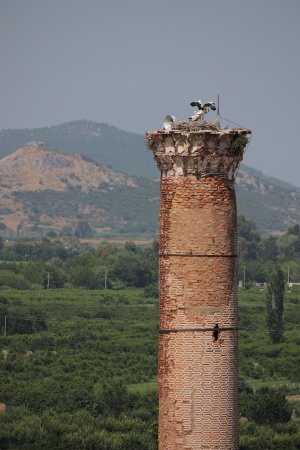 Isabey Mosque
Selcuk, Turkey
