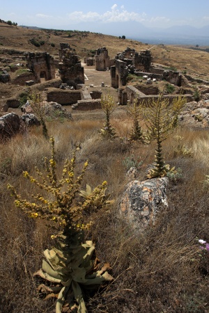 St. Philip Martyrium
Hierapolis, Turkey
