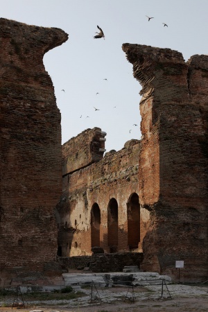 Red Basilica
Bergama, Turkey
