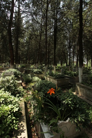 Cemetery
Iznik, Turkey

