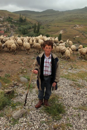 Shepherd
Above Güzelyurt, Turkey