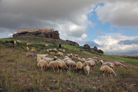 St. Anargiros Church
Güzelyurt, Turkey