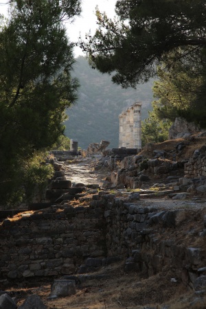 Athena Street
Priene, Turkey
