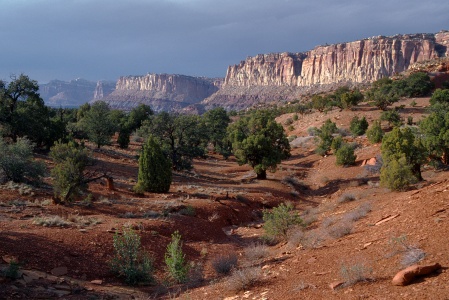 Captal Reef
Utah