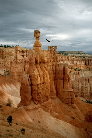 The Hammer
Bryce National Park
Utah