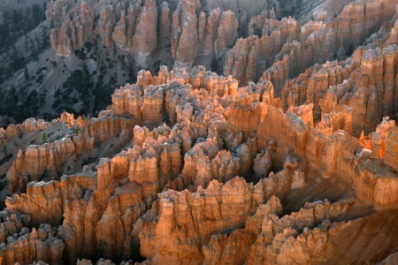 From Bryce Point
Bryce Canyon National Park
Utah 