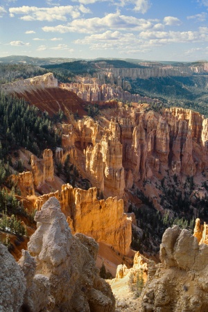 From Rainbow Point
Bryce Canyon National Park
Utah 