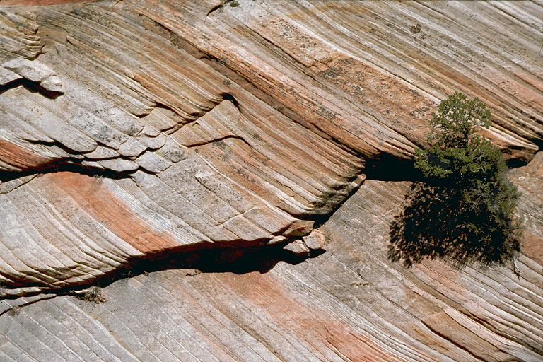 bill-hocker-rock-face-zion-national-park-utah-2003