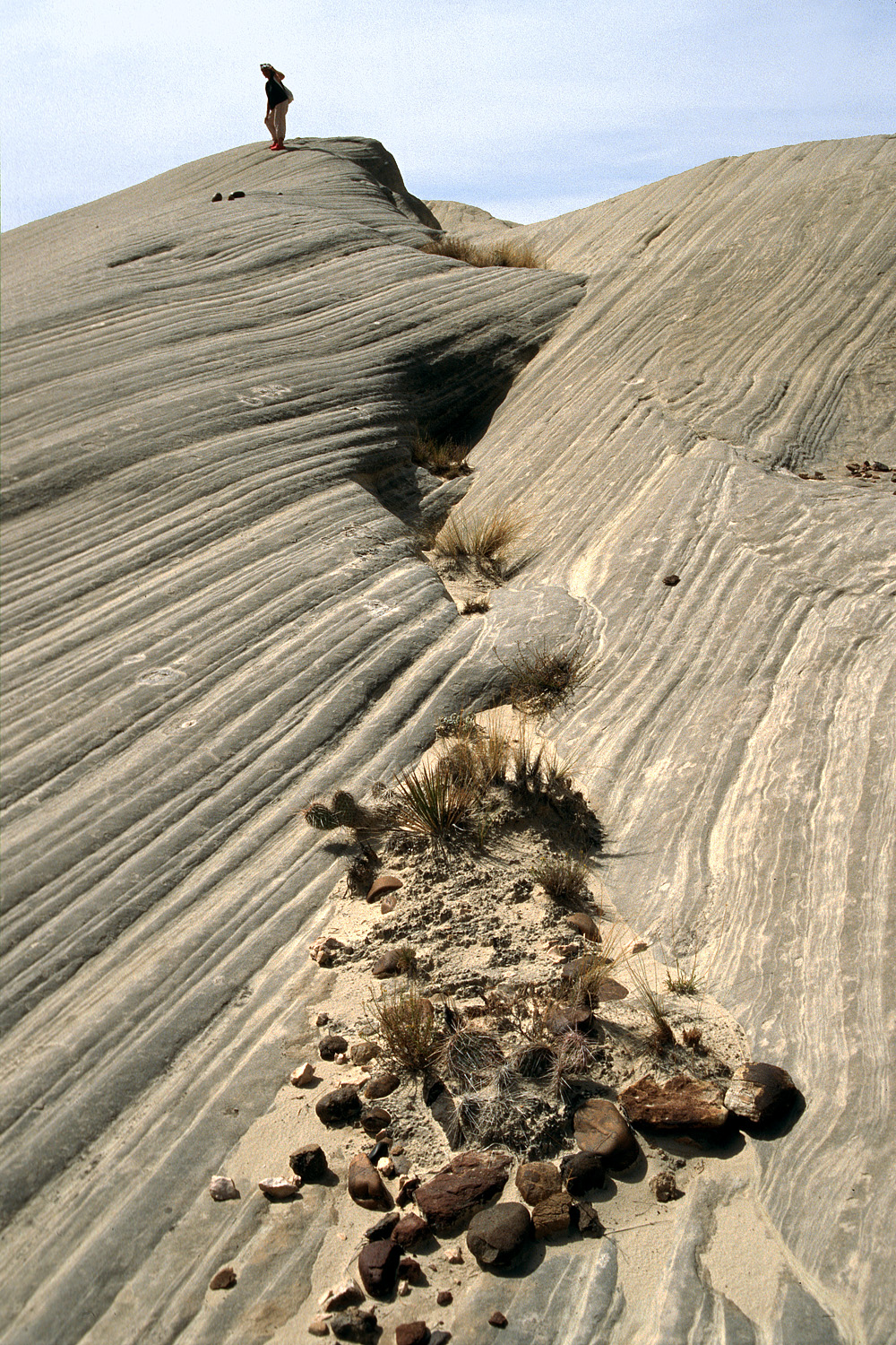 bill-hocker-on-cottonwood-road-escalante-national-monument-utah-2006