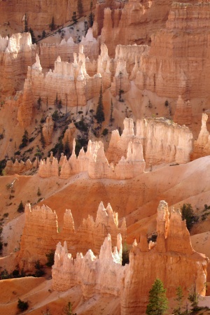 From Sunrise Point
Bryce Canyon National Park
Utah 