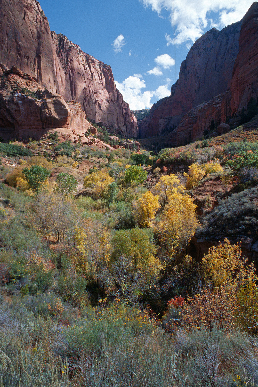 bill-hocker-zion-national-park-utah-2006