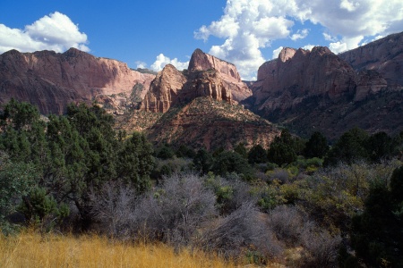 Kolab Canyons
Zion National Park
Utah