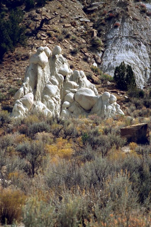 On Cottonwood Road
Escalante National Monument
Utah 