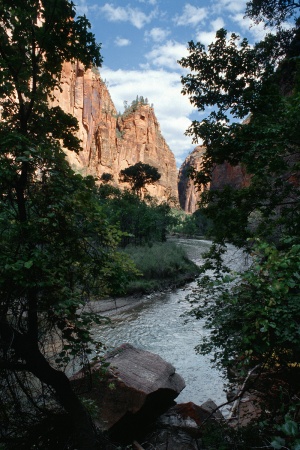 Zion National Park
Utah