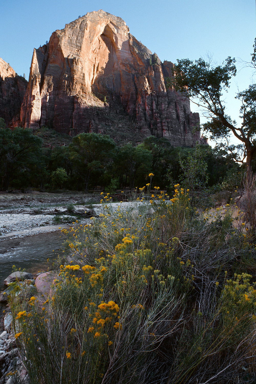 bill-hocker-zion-national-park-utah-2006