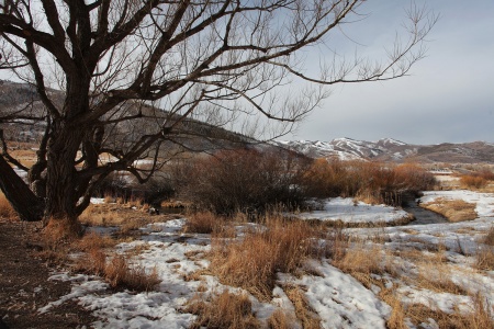 Cottonwood
Near Park City, Utah